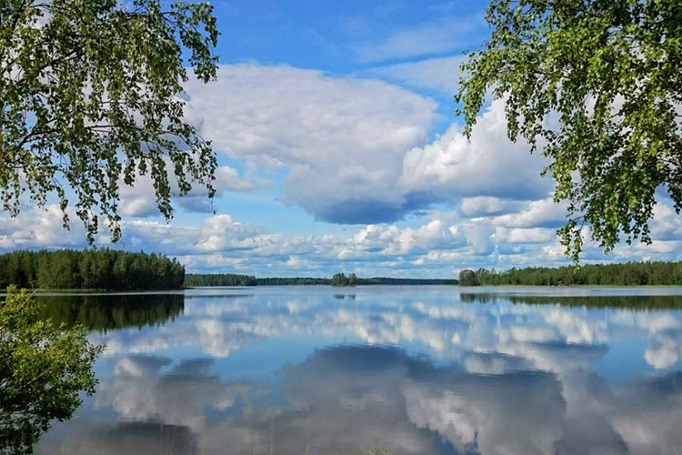 Solotop Palevelee Mutkattomasti Läpi Kesän!